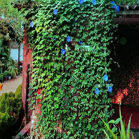 Panchobon Art Resort Shānti Niketan Buitenkant foto